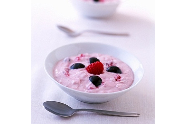 Yogurt Web